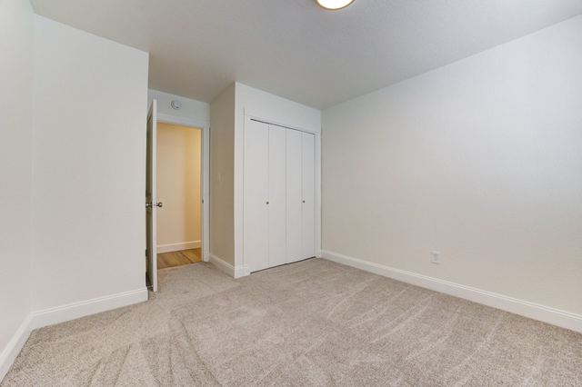 3809 Cedarbrook Drive - photo 33