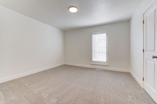 3809 Cedarbrook Drive - photo 37